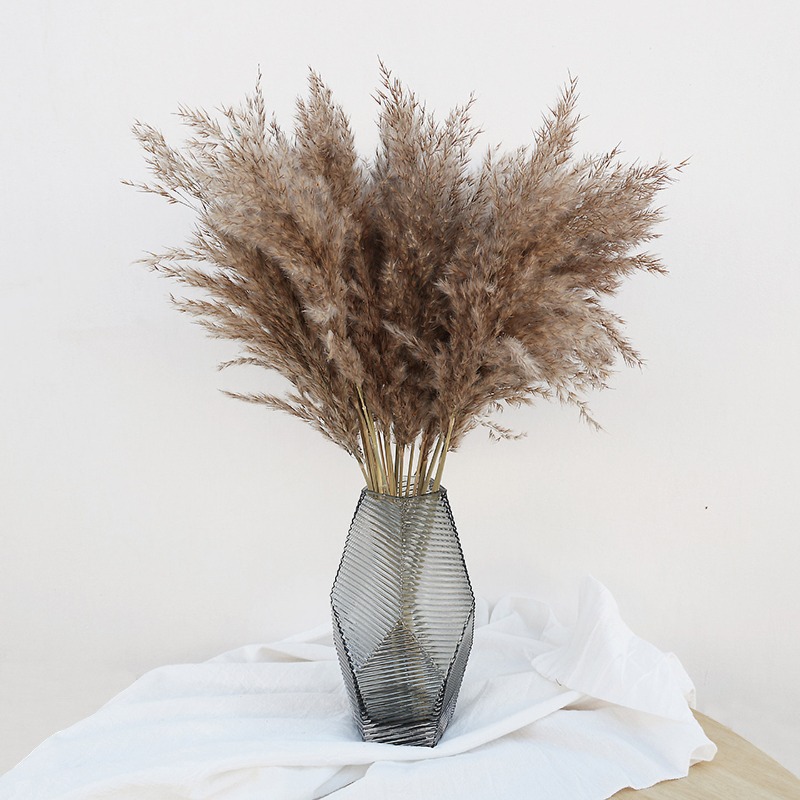 Pampas Grass Decor - 10 stuks kleurrijke natuurlijke rietplanten pampasgras