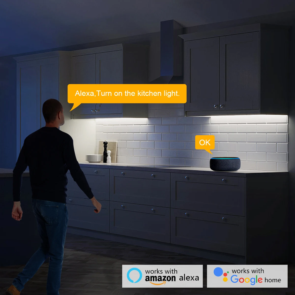 Smart Home Zigbee Tuya Spraakb - Home Decor Free App recensie en prijs