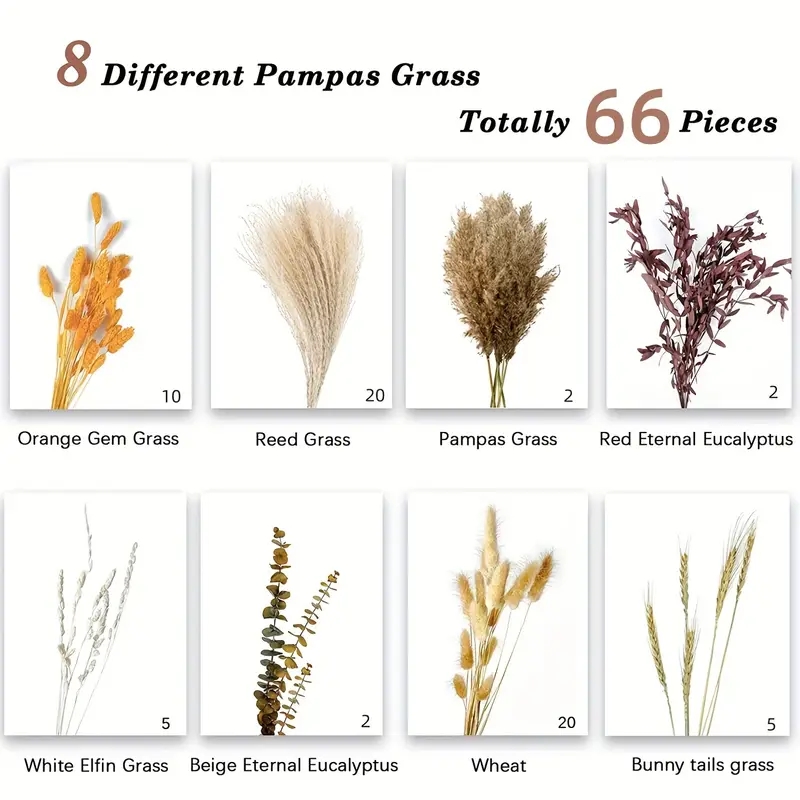 66-delige pampasriet-decoratie - Pampas Grass Decor recensie en prijs