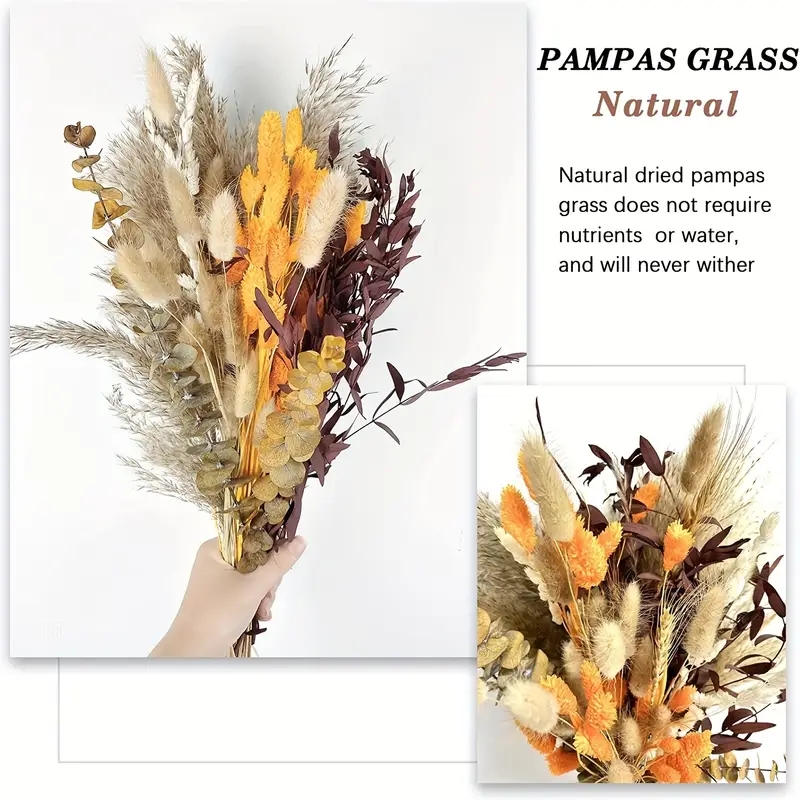 66-delige pampasriet-decoratie - Pampas Grass Decor recensie en prijs